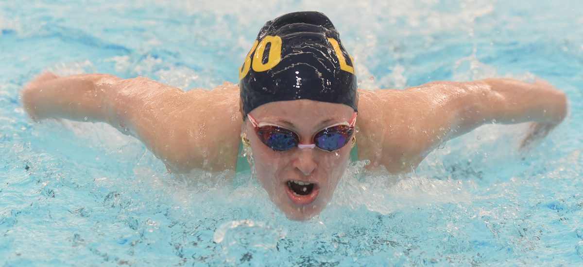 Mt. Lebanon wants more than section banners